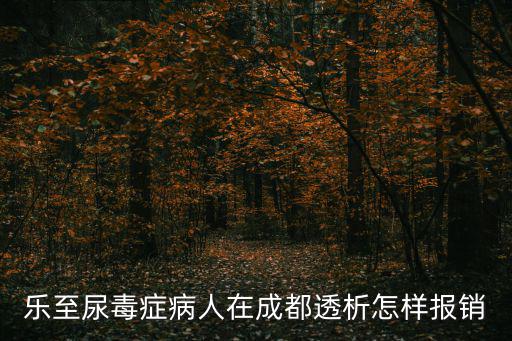 樂至尿毒癥病人在成都透析怎樣報(bào)銷