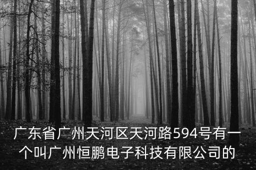 廣東省廣州天河區(qū)天河路594號有一個叫廣州恒鵬電子科技有限公司的