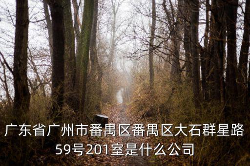 廣東省廣州市番禺區番禺區大石群星路59號201室是什么公司