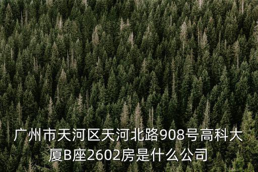 廣州市天河區天河北路908號高科大廈B座2602房是什么公司