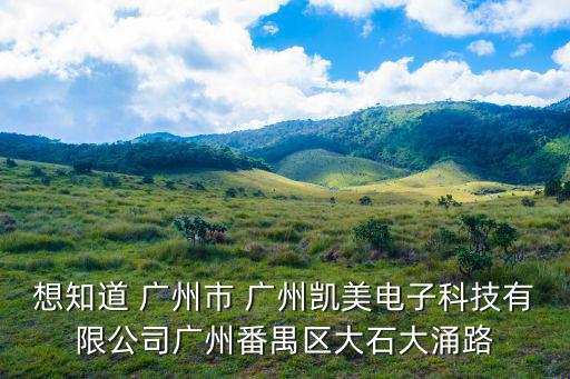 想知道 廣州市 廣州凱美電子科技有限公司廣州番禺區大石大涌路