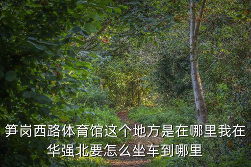 深圳羅湖筍崗體育館，筍崗西路體育館這個(gè)地方是在哪里我在華強(qiáng)北要怎么坐車到哪里