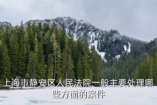 上海市靜安區人民法院一般主要處理哪些方面的案件