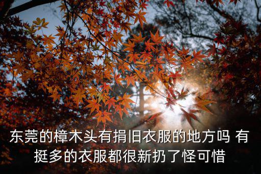 東莞的樟木頭有捐舊衣服的地方嗎 有挺多的衣服都很新扔了怪可惜