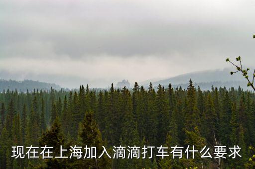 現(xiàn)在在上海加入滴滴打車有什么要求