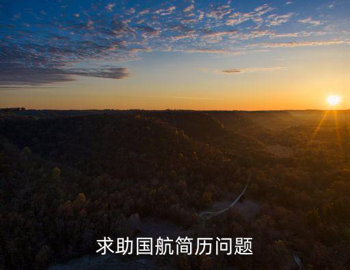 求助國航簡歷問題