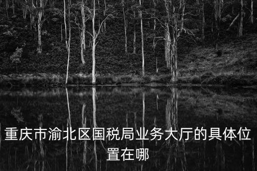 重慶市渝北區國稅局業務大廳的具體位置在哪