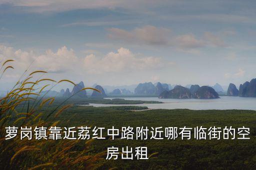 蘿崗鎮靠近荔紅中路附近哪有臨街的空房出租