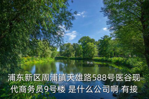 浦東新區周浦鎮天雄路588號醫谷現代商務員9號樓 是什么公司啊 有接