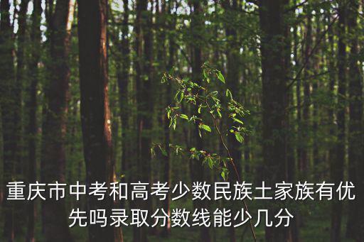 重慶市中考和高考少數民族土家族有優先嗎錄取分數線能少幾分
