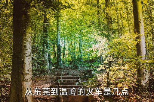 從東莞到溫嶺的火車是幾點(diǎn)