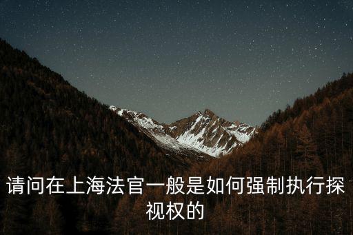 請問在上海法官一般是如何強制執行探視權的