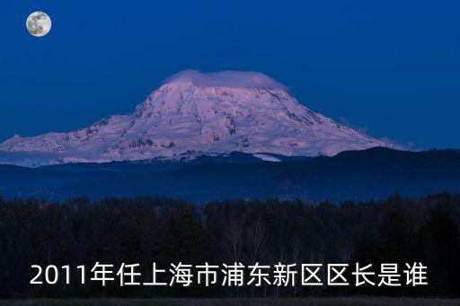 2011年任上海市浦東新區(qū)區(qū)長是誰