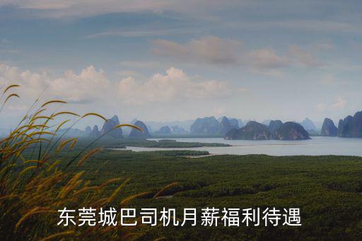 東莞公汽司機待遇排名，東莞公交司機可以開多少錢去掉五險一金