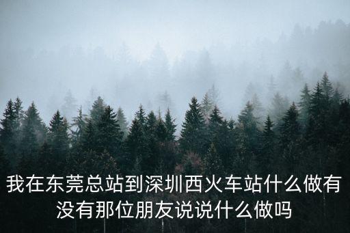 我在東莞總站到深圳西火車站什么做有沒有那位朋友說說什么做嗎