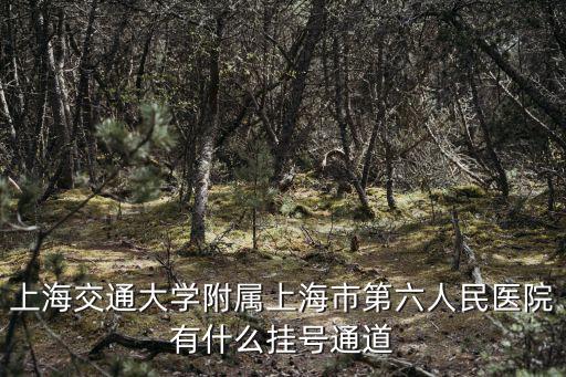 上海交通大學附屬上海市第六人民醫(yī)院有什么掛號通道