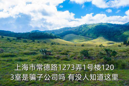上海市常德路1273弄1號樓1203室是騙子公司嗎 有沒人知道這里
