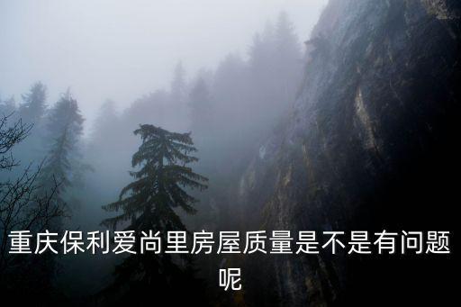 重慶保利愛尚里房屋質(zhì)量是不是有問題呢