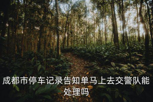 處理成都市道路停車記錄告知單，成都收到違法停車告知單怎么辦