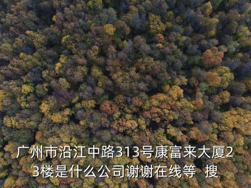 廣州市沿江中路313號(hào)康富來大廈23樓是什么公司謝謝在線等  搜