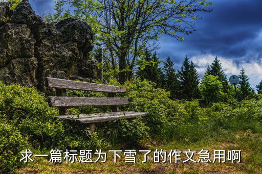 深圳學(xué)冰球，山東耀華玻璃有限公司怎么樣