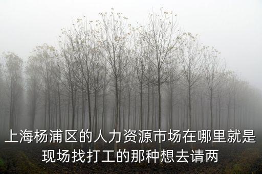 上海楊浦區(qū)的人力資源市場在哪里就是現(xiàn)場找打工的那種想去請兩