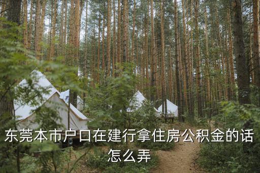 東莞本市戶口在建行拿住房公積金的話怎么弄