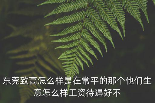 東莞致高怎么樣是在常平的那個(gè)他們生意怎么樣工資待遇好不