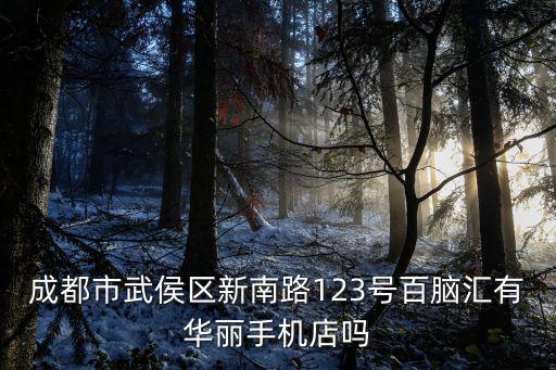 成都市武侯區新南路123號百腦匯有華麗手機店嗎