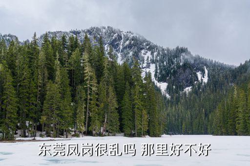 東莞鳳崗很亂嗎 那里好不好