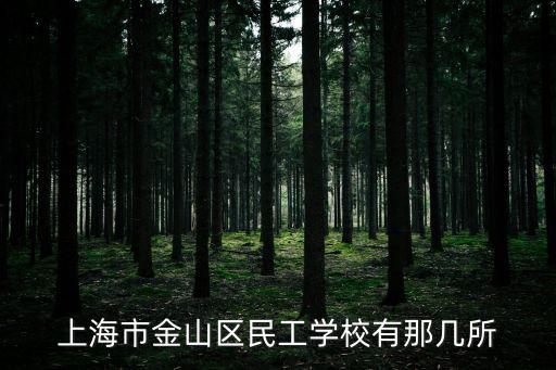 上海市金山區民工學校有那幾所