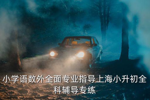 小學語數外全面專業指導上海小升初全科輔導專練