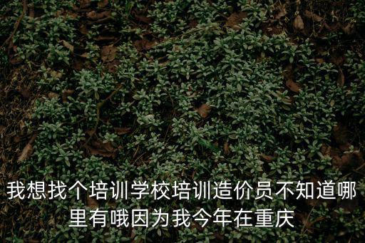 我想找個培訓學校培訓造價員不知道哪里有哦因為我今年在重慶