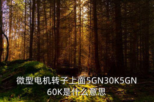 微型電機轉子上面5GN30K5GN60K是什么意思