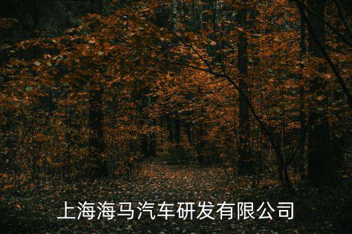 上海海馬汽車研發(fā)有限公司