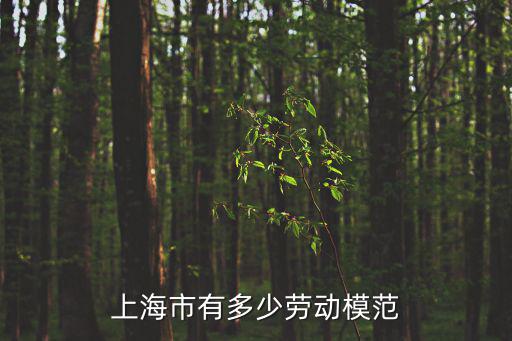 上海市有多少勞動(dòng)模范