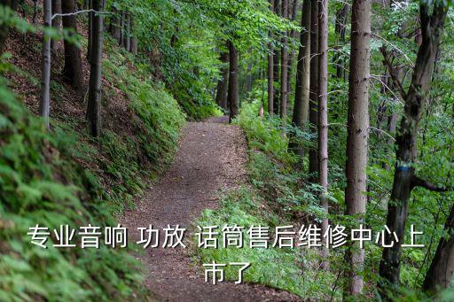 專業音響 功放 話筒售后維修中心上市了