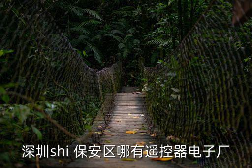 深圳shi 保安區哪有遙控器電子廠