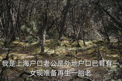 我是上海戶口老公是外地戶口已育有一女現準備再生一胎老