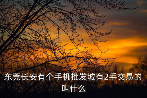 東莞長(zhǎng)安有個(gè)手機(jī)批發(fā)城有2手交易的叫什么