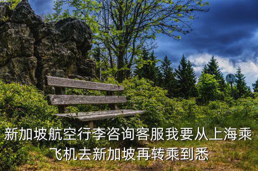 新加坡航空行李咨詢客服我要從上海乘飛機去新加坡再轉乘到悉