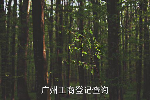 廣州工商注冊信息查詢，廣州公司工商注冊查詢怎么查到哪里查