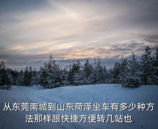 從東莞南城到山東菏澤坐車有多少種方法那樣跟快捷方便轉(zhuǎn)幾站也