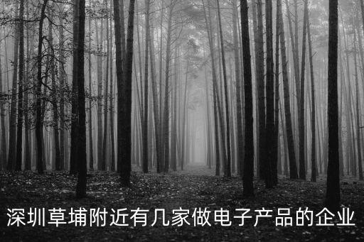 深圳草埔附近有幾家做電子產(chǎn)品的企業(yè)