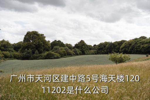 廣州可輝節能科技，廣州市天河區建中路5號海天樓12011202是什么公司