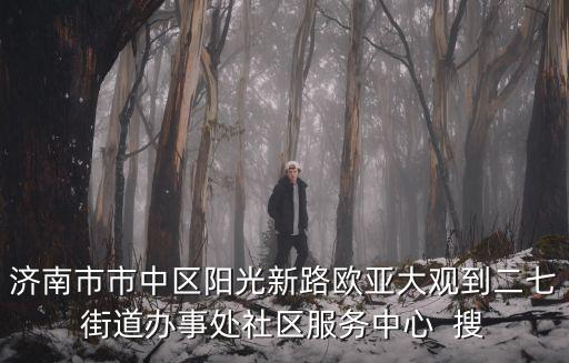 濟南市市中區(qū)陽光新路歐亞大觀到二七街道辦事處社區(qū)服務中心  搜
