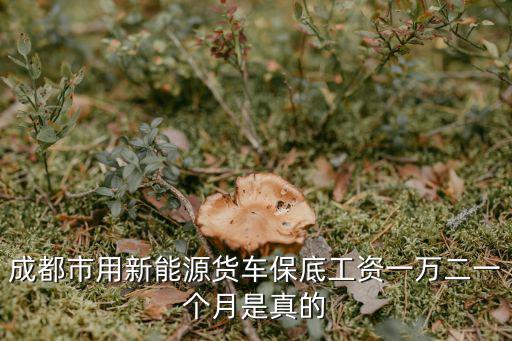 成都市智匯新城待遇怎么樣，成都鼎智匯華企業(yè)管理有限公司工作性質(zhì)是怎樣的