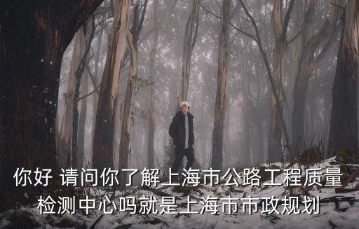 你好 請問你了解上海市公路工程質量檢測中心嗎就是上海市市政規劃