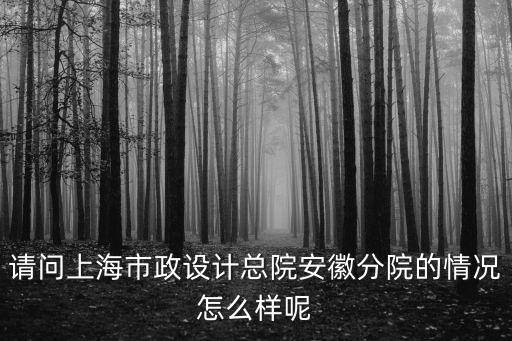 請問上海市政設計總院安徽分院的情況怎么樣呢