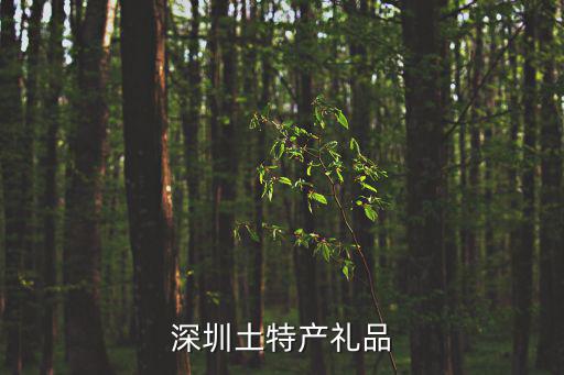 深圳土特產(chǎn)禮品